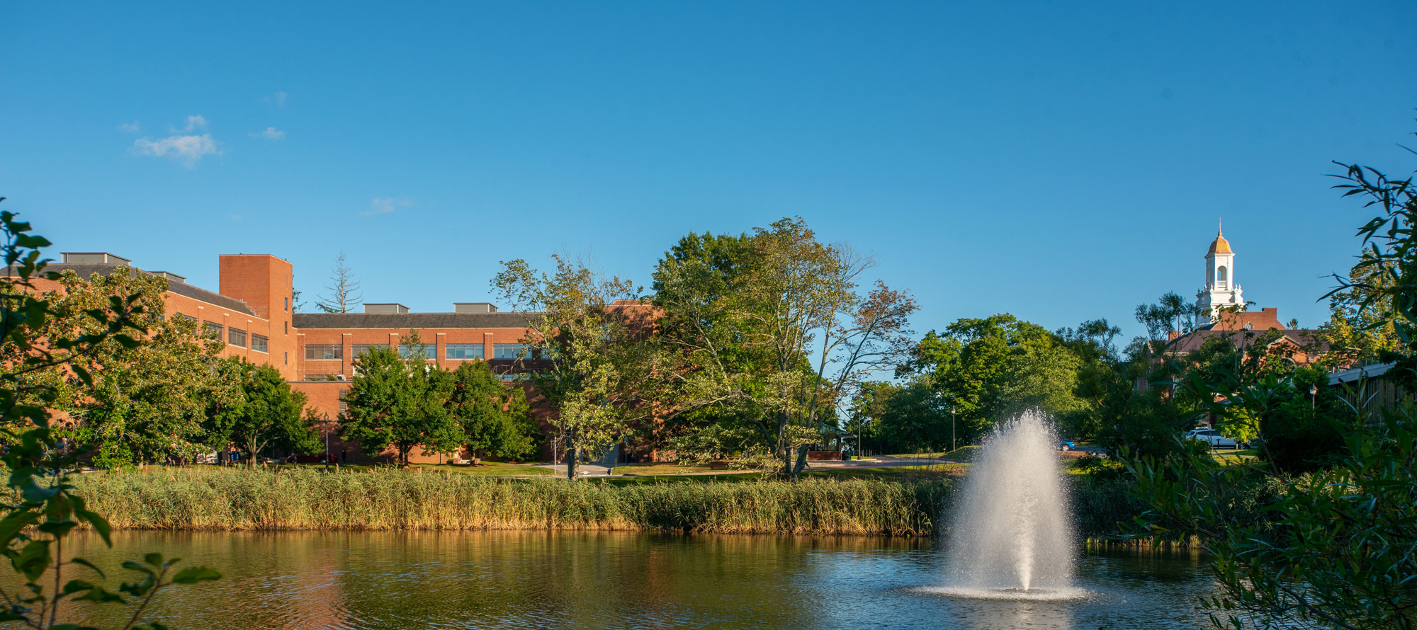 A view of Swan Lake on the UConn campus